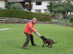 IMG_hund4klein